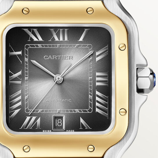 Cartier Santos de Cartier Large Automatic 40 mm Yellow Gold and Stainless Steel W2SA0030 image number 2